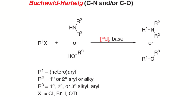 C-N 或 C-O 键形成的 Buchwald-Hartwig 交叉偶联反应方案。