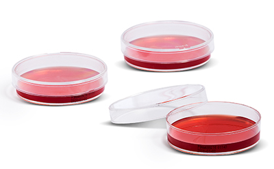Mycoplasma plates