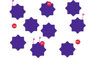 Interrogation of Protein Pathways: Inhibition 蛋白通路抑制示意图(作为蛋白通路研究实例),其中涉及化学筛查和处理、蛋白质活性/酶活性观察以及蛋白质途径调节。