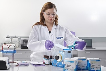 Western Blotting This image depicts a scientist performing an experiment.