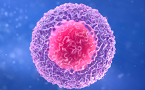 Lymphocyte Microscopic view of a single cell with a vibrant pink nucleus and a purple cytoplasm, displayed against a deep blue background, highlighting detailed surface textures.