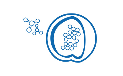 Drug delivery formulation stage illustrated with nanoparticle and lipid icons, representing lipids, nanoparticles, polymers, bioinks, and formulation technologies for drug delivery applications.