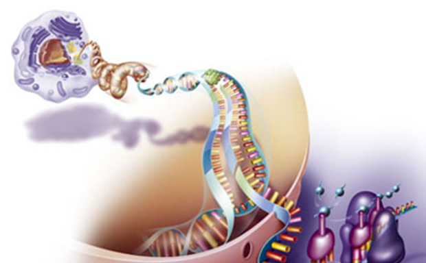 The image is a vibrant illustration of DNA replication. It shows a DNA molecule unwinding, with enzymes aiding in the separation of strands.