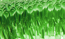Image shows a close-up of numerous green spoon heads arranged in tight, orderly rows, creating a patterned effect. Image shows a close-up of numerous green spoon heads arranged in tight, orderly rows, creating a patterned effect.
