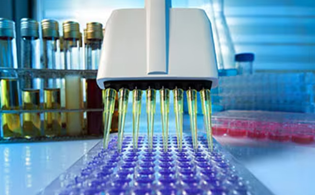 Metabolism Assay Kit A laboratory setting. The main focus is on a multi-channel pipette dispensing a purple liquid into a tray of wells. In the background, there are test tubes with yellow and green liquids held in a rack. Additional lab materials are blurred in the foreground and background, emphasizing the focus on the pipette and well tray.