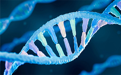 Nucleosides and Nucleotides A glowing blue DNA double helix against a dark background.