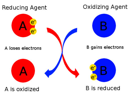 Reducing / Oxidizing agent diagram 示意图展示还原剂与氧化剂的功能