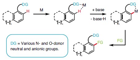 Diagram showing Amine Tolerant Undirected C–H Hydroxylation