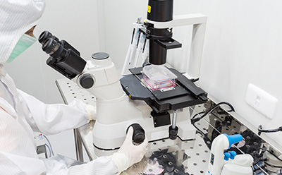 Scientist at the microscope 科学家穿着全套防护服,戴着口罩,通过显微镜观察 T 型烧瓶中的细胞。