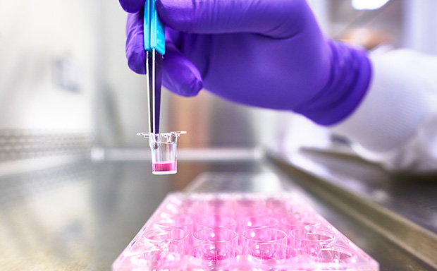 Millicell® hanging cell culture inserts