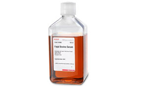 The image displays a clear plastic bottle with a white cap, filled with a red liquid identified as “Fetal Bovine Serum.”