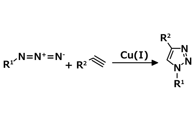 Click Chemistry Reaction Scheme 这个点击化学方案示例展示了铜(I)催化的叠氮-炔环加成 (CuAAC),炔与叠氮化物生成 1,4-二取代-1,2,3-三唑。