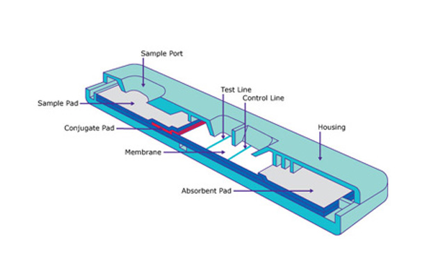 Lateral Flow Membranes