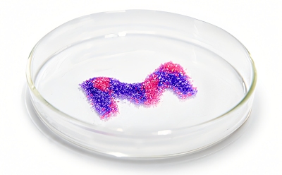 Petri dish with dynamic M created from high-purity salts