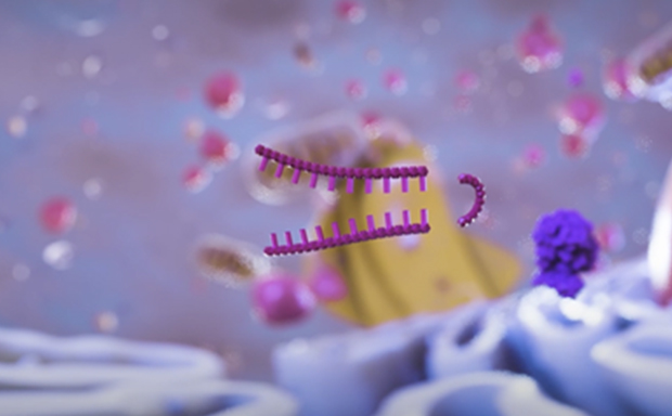 RNAi 单克隆
