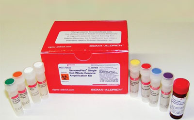 一个标有 "AMPLIFICATION KIT "的红色盒子，旁边有几个小瓶子，瓶盖颜色各异，放在实验室的白色表面上。