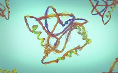 Biopharma Formulation multi colored cells