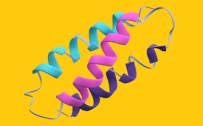 Three Biomolecules floating on yellow background