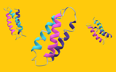 Biomolecules 三个漂浮在黄色背景上的生物分子