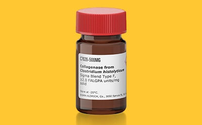 Collagenase bottle 胶原酶瓶