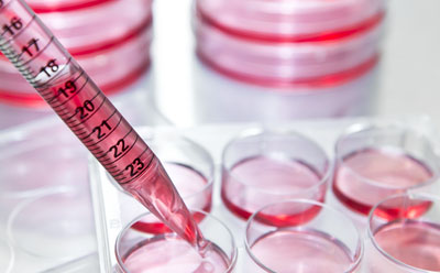 Serological pipets for dispensing cell culture media