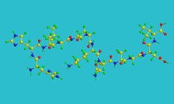 Custom Peptide Library Custom Peptide Library