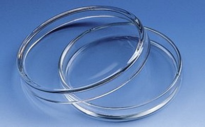Petri Dishes glass Petri dishes