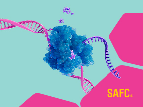 A stylized illustration showing a blue molecular structure and a pink DNA helix against a light teal background with bright pink shapes and the SAFC logo.