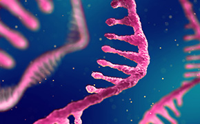 mRNA Research Offerings Close-up view of pink RNA strands against a blue background, showcasing the intricate structure of the ribonucleic acid with visible nucleotides and a three-dimensional appearance.