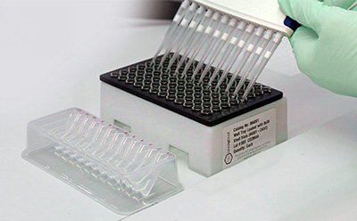 High-Throughput Sample Preparation for PROTAC Synthesis Gloved hand using a multichannel pipette to dispense samples into a 96well plate for PROTAC synthesis workflows.