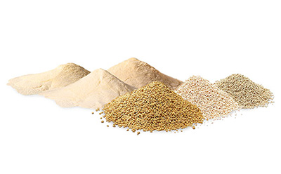 An arrangement of various types of powder and granules, including fine white flour-like substances and coarser grains, displayed in mounds on a white background.