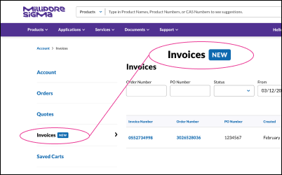 Invoice Center - Order Center/Account Dashboard 在账户仪表板中显示侧边菜单