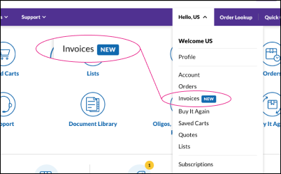 Invoice Center - Account Menu Dropdown 在账户中显示下拉菜单