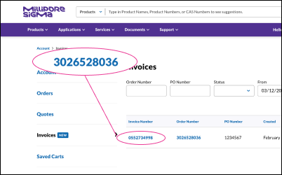 Invoice Center - Download Location 显示发票的下载位置