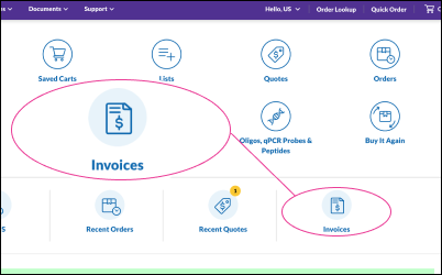 Invoice Center - RCHP 在 RCHP 中显示可点击的发票图标,您可在此访问发票