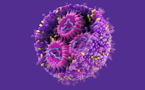 LNP幻灯片标题 脂质纳米颗粒(内部由不同的脂质和 mRNA 组成)背景
