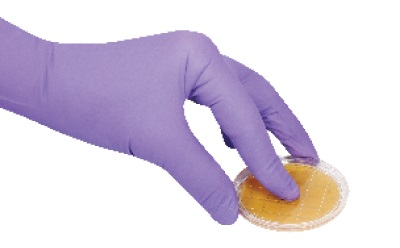 Our ICR and ICRplus settle and contact plates are optimized for use in cleanrooms, RABS, and isolators and enable aerobic and anaerobic incubation with a single plate.
