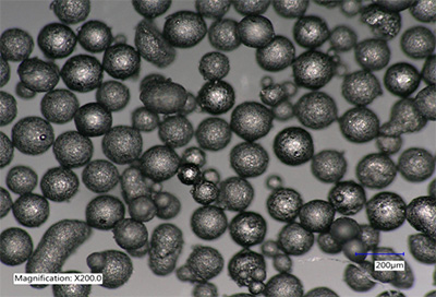Microscopic image Carbosieve Voyager Microscopic image Carbosieve Voyager