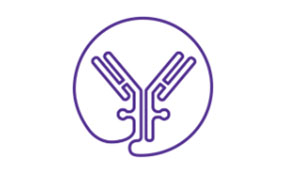 ADC product characterization, testing, and assays for biotherapy development
