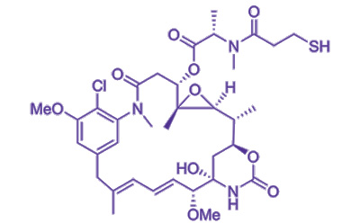适用于您药物偶联物项目的DM1 cGMP级有效载荷 DM1(CAS 139504-50-0)的化学结构
