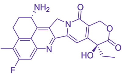 Exatecan(喜树碱有效载荷) 艾沙替康(CAS 171335-80-1)的化学结构