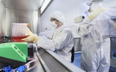 Virus Bank Manufacturing Webinar Images Two lab technicians, fully equipped in personal protective equipment, focused on their work as they collaborate on a virus bank manufacture. They are working under a fume hood.