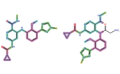 De Novo Molecular Design An illustration of two molecular structures side by side, showcasing different arrangements of atoms and bonds. The structures are depicted using various colors to represent different elements, with labels indicating functional groups and bonds. The left structure features a complex arrangement, while the right structure includes an amine group (NH₂) at the end.