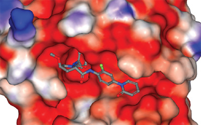 Molecular Docking A 3D representation of a molecular structure situated within a colorful surface, indicating interactions with its environment. The molecule is shown in gray and blue, with specific functional groups highlighted in green and red. The surrounding surface is depicted in shades of red, white, and blue, suggesting varying properties such as hydrophobicity and electrostatic potential.