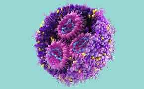A 3D illustration of an mRNA/LNP