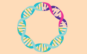 柔和的桃色背景下，以鲜艳的色彩圆形排列的螺旋 DNA 链。