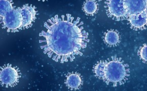 Vaccine bulk lot release testing Biosafety testing for vaccine development