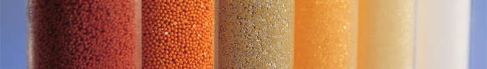 Polymeric Resins Polymeric Resins