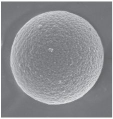 Microscopic view of porous graphitic carbon (PGC) particle