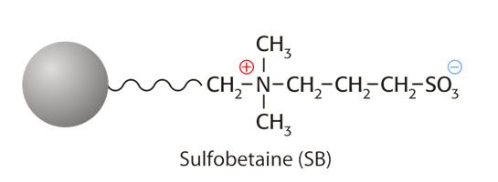 Chemical structure of Sulfobetaine (SB) featuring a silver sphere representing a hydrophobic group, a long carbon chain, and a positively charged nitrogen atom connected to a sulfonate group (SO3). The structure includes various methyl (CH3) groups attached to the carbon chain.